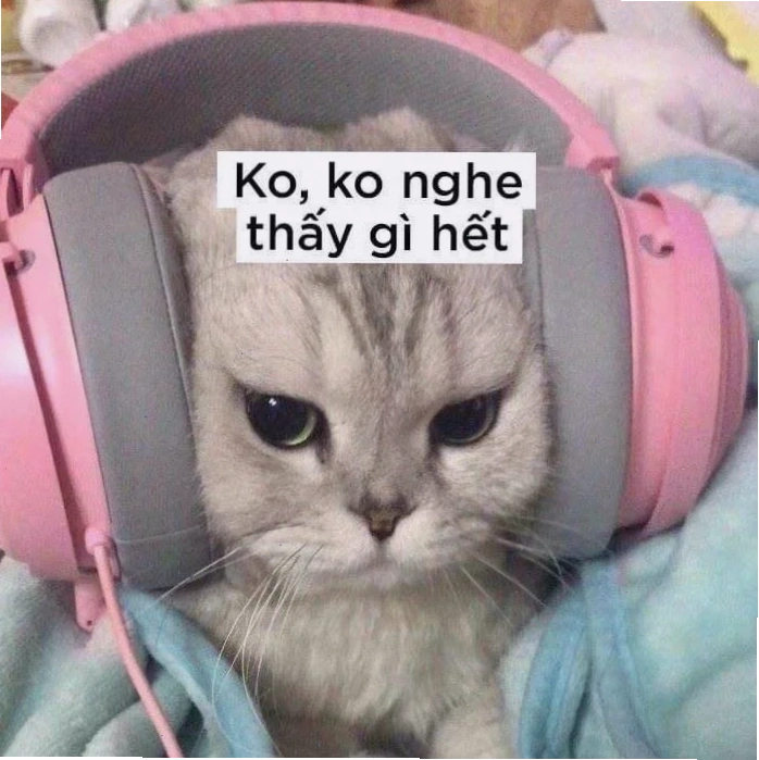meme đeo tai nghe