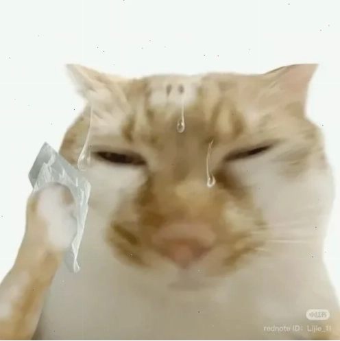 meme đổ mồ hôi hột
