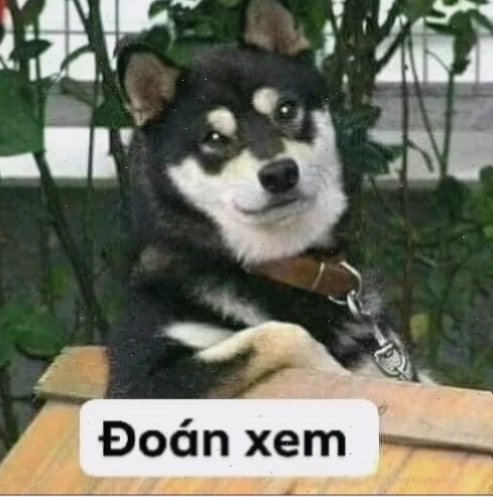 meme đoán xem biểu cảm chú chó