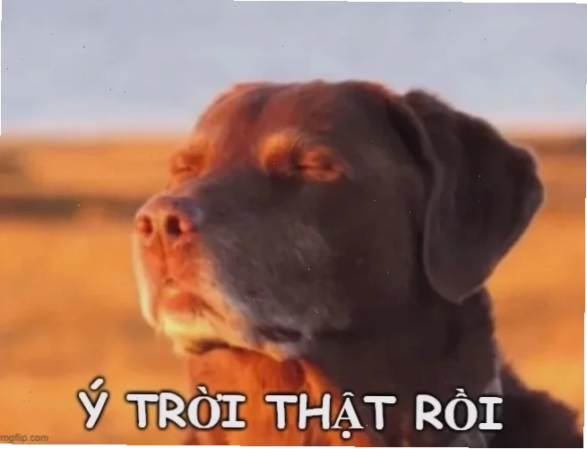 meme doan xem chất