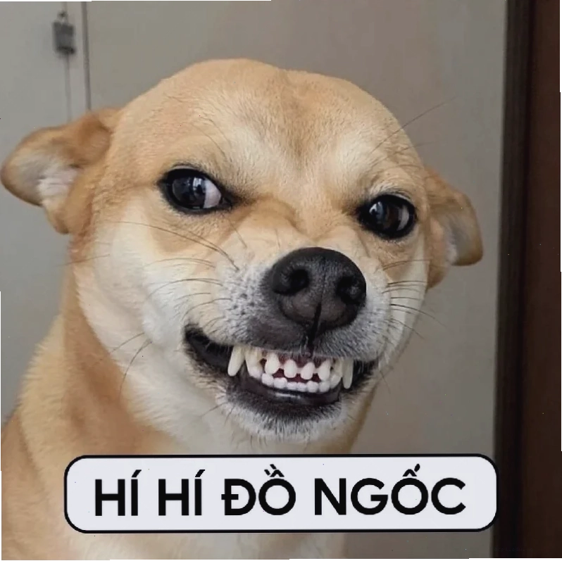 meme doan xem chất lượng