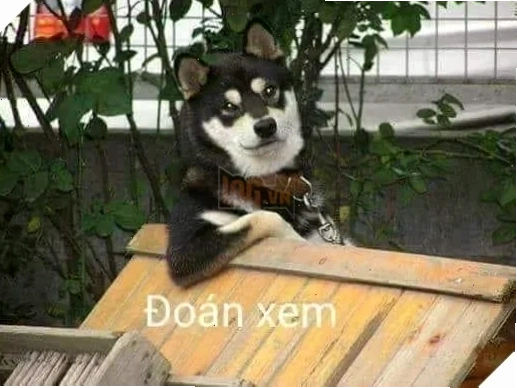meme đoán xem cho ngày buồn