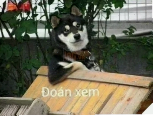 meme đoán xem cho ngày buồn