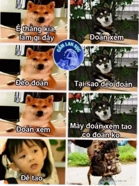 meme doan xem cực chất
