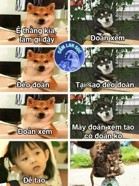 meme doan xem cực chất
