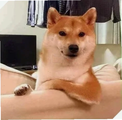 meme đoán xem cười tươi