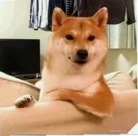 meme đoán xem cười tươi