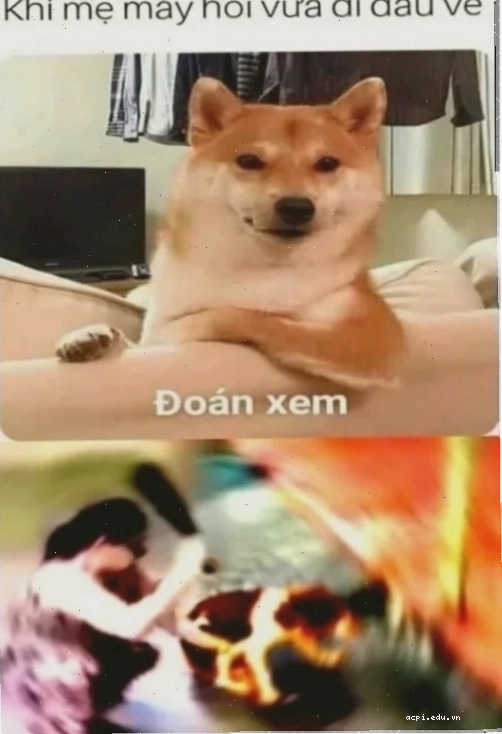 meme doan xem độc đáo