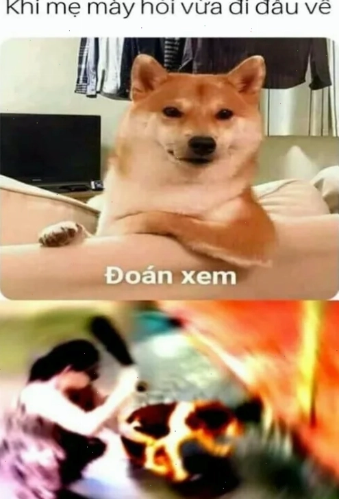 meme doan xem độc đáo