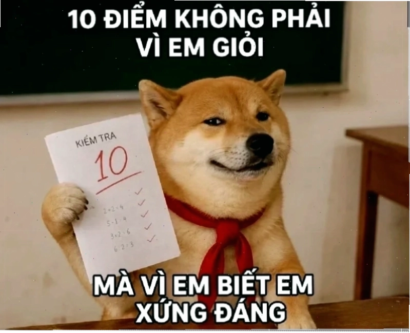 meme doan xem hài