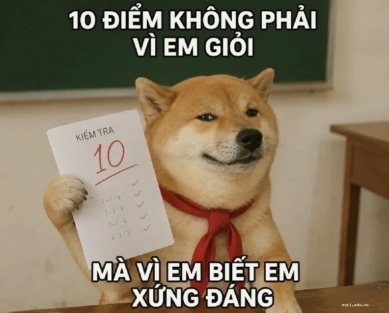 meme doan xem hài