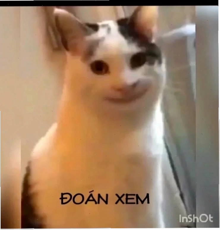 meme doan xem lầy