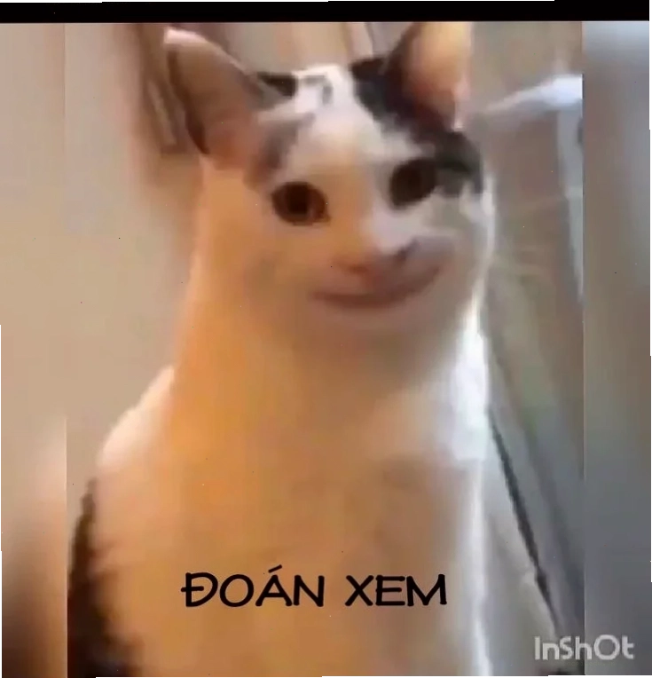 meme doan xem lầy