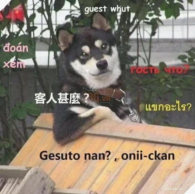 meme doan xem mới nhất