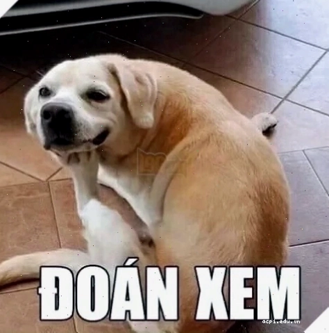 meme đoán xem phong cách game thủ