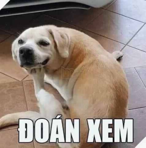 meme đoán xem phong cách game thủ