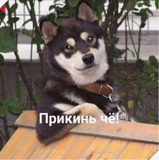 meme doan xem trên điện thoại