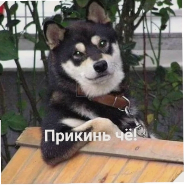 meme doan xem trên điện thoại