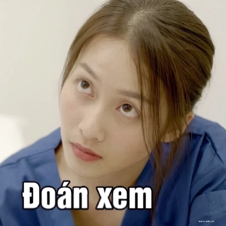 meme doan xem vui nhộn