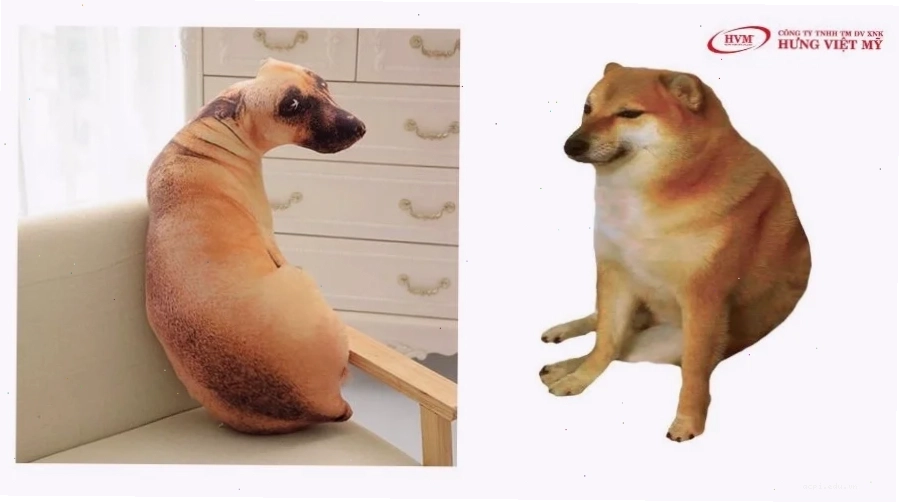 Meme doanh nghiệp tặng quà