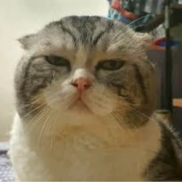 Meme độc lạ chỉ vào tim