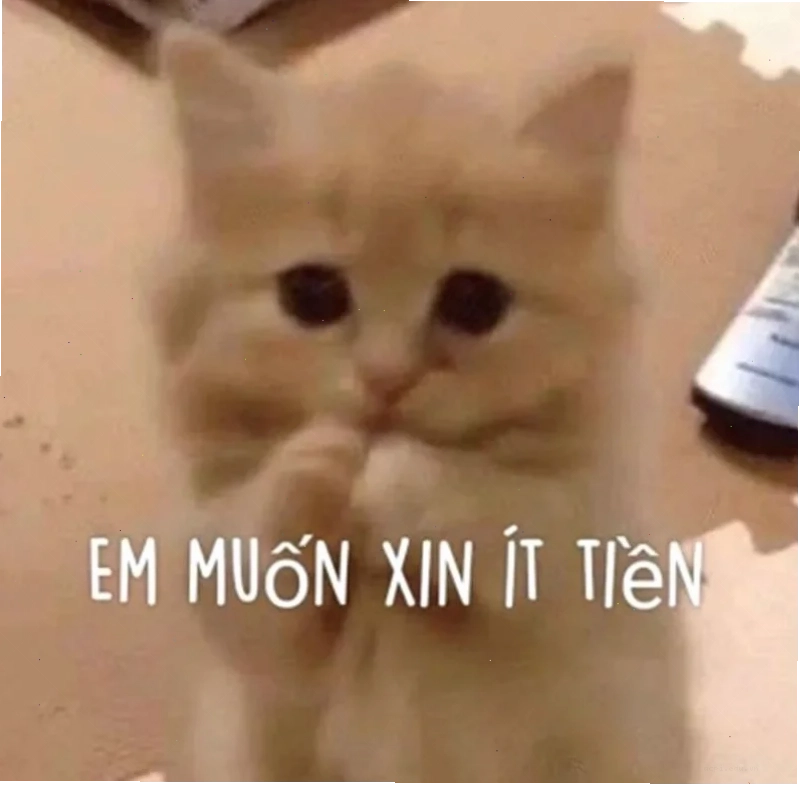 meme đòi nợ cuối tháng