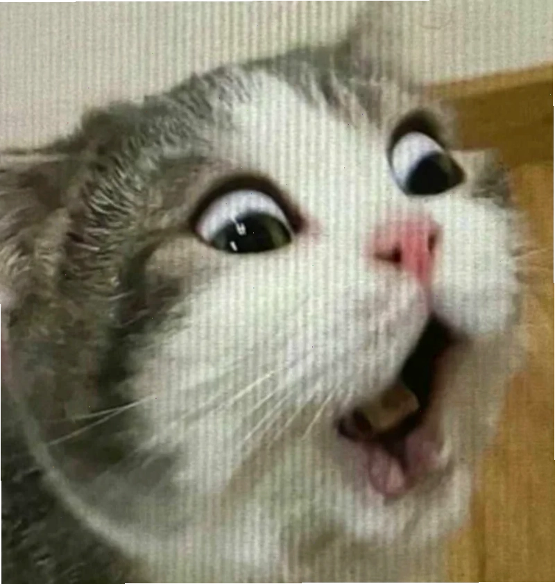 meme đồng cảm bạn bè