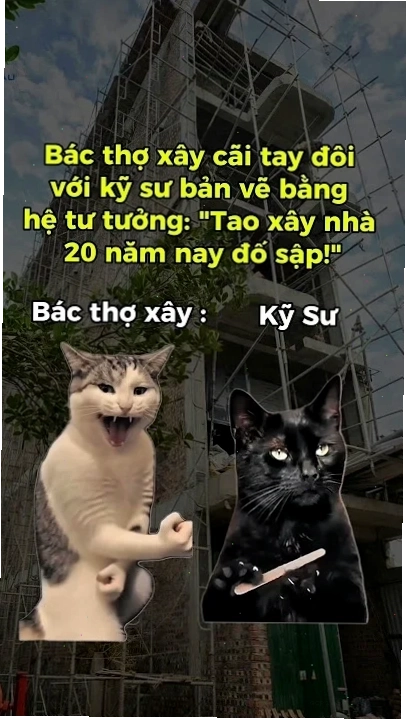 meme đồng cảm cảm xúc