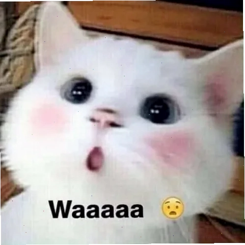 meme đồng cảm nghệ thuật