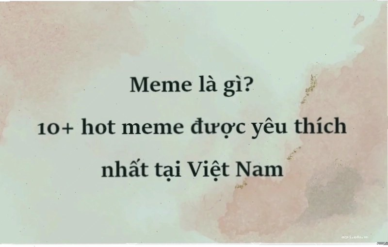 Meme động meme là gì trên facebook
