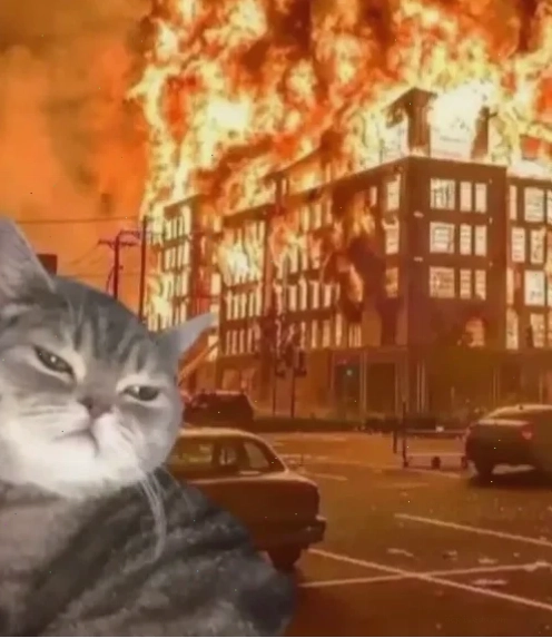 meme đốt nhà cực cháy