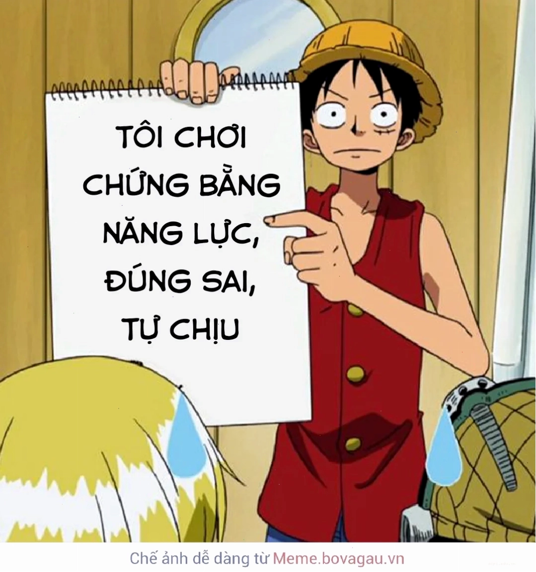 meme đúng sai chuyên nghiệp meme đúng sai cho dân chuyên