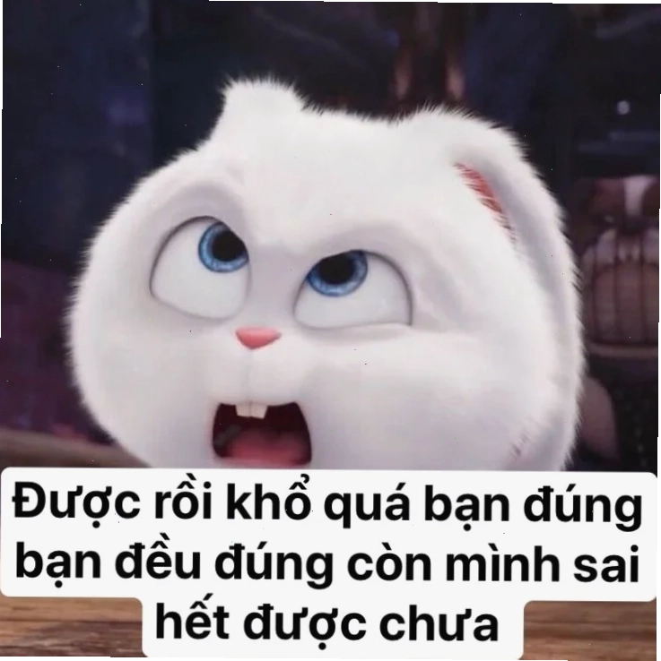 cái kết của meme đúng sai meme đúng sai cực lầy