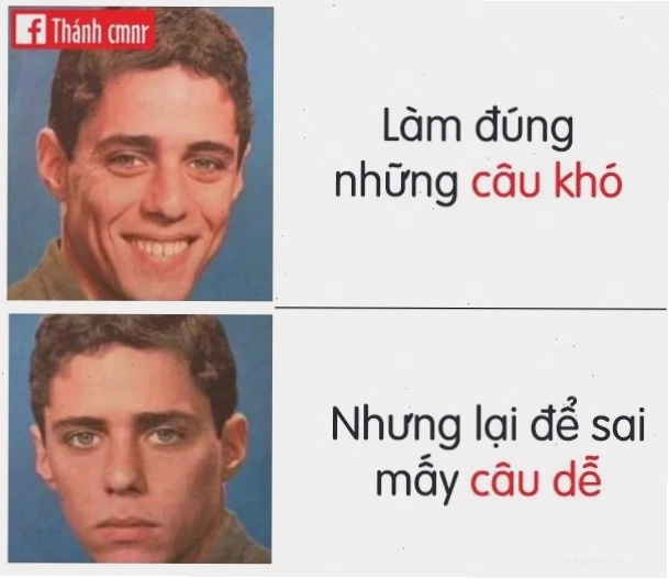 meme đúng sai vui nhộn meme đúng sai khó đỡ