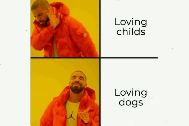 meme đúng sai viral meme đúng sai với biểu cảm khó đỡ