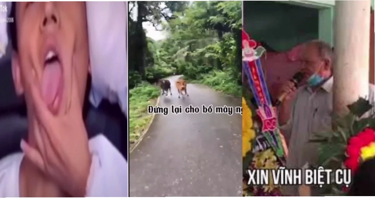 Meme được ghép nhạc