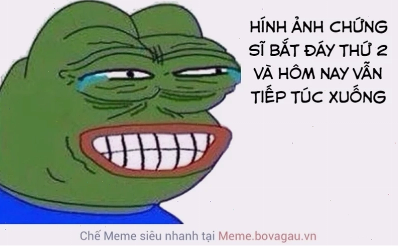 meme ếch pepe nhìn chăm chú