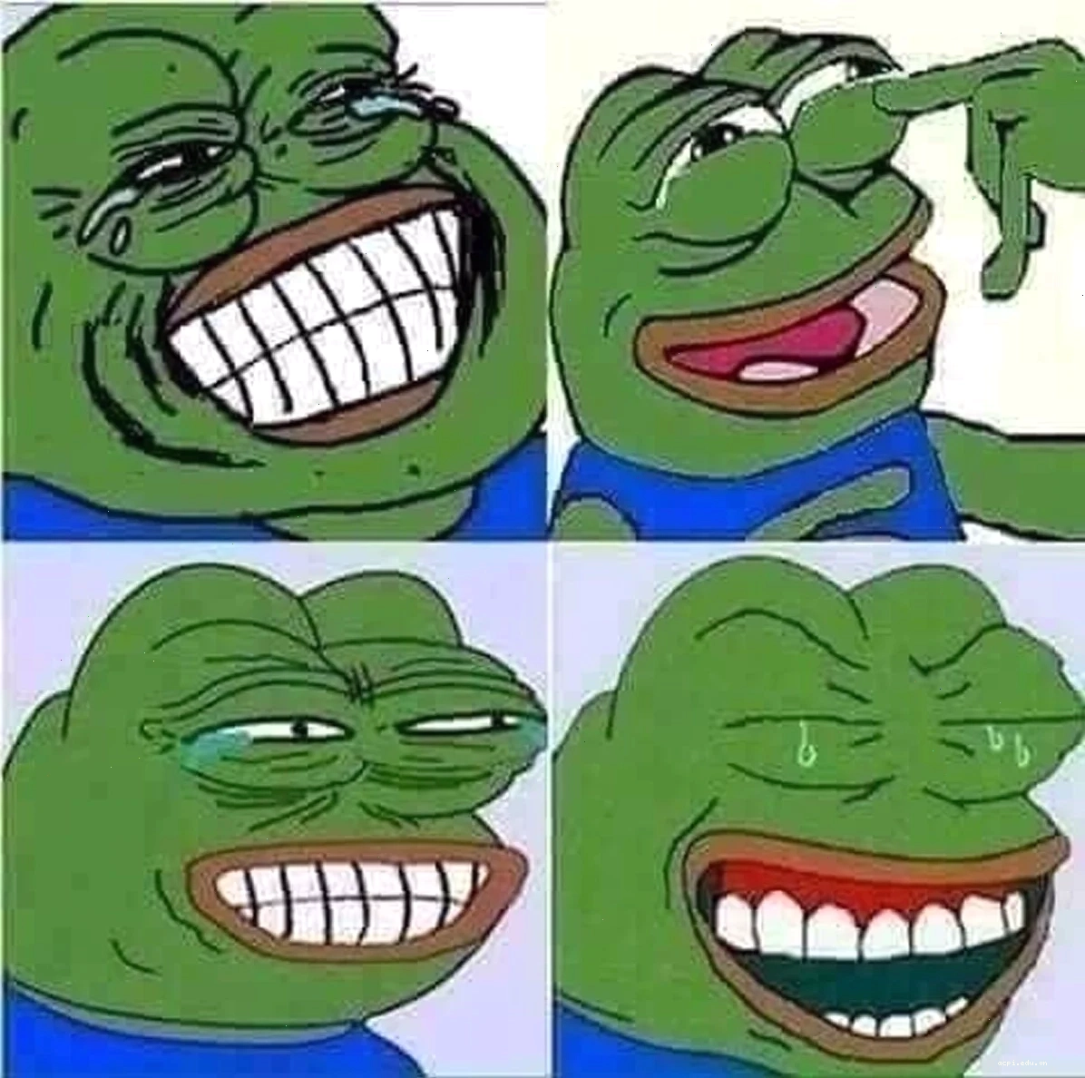 meme ếch xanh im lặng