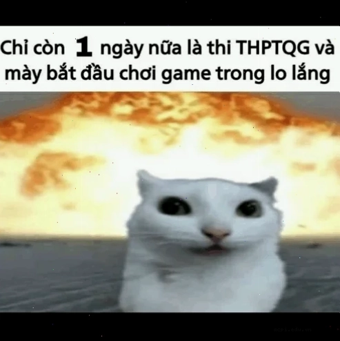 meme ếch xanh lo lắng