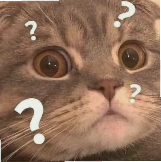 meme ếch xanh thắc mắc đang load dữ liệu