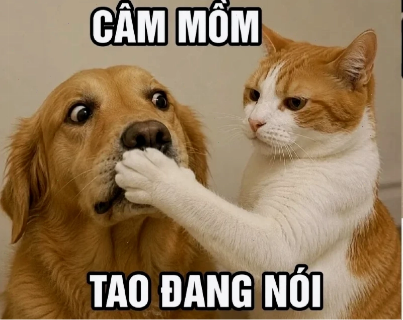 meme em đẹp lắm cầm hoa