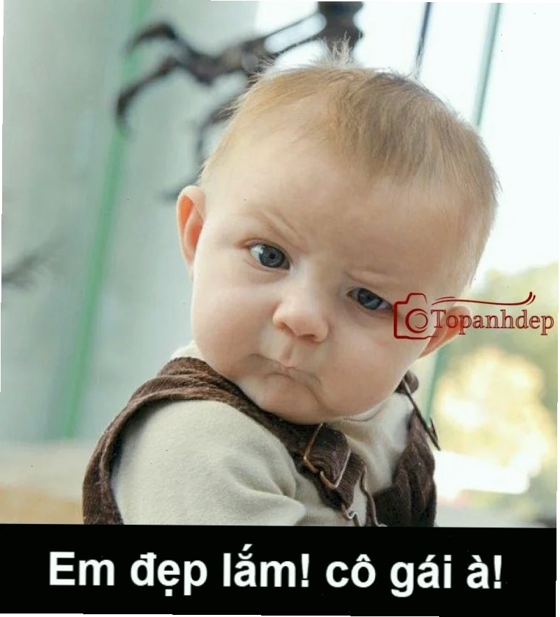 meme em đẹp lắm chú chó hài