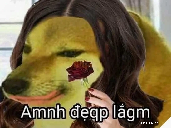 meme em đẹp lắm hài hước nhất
