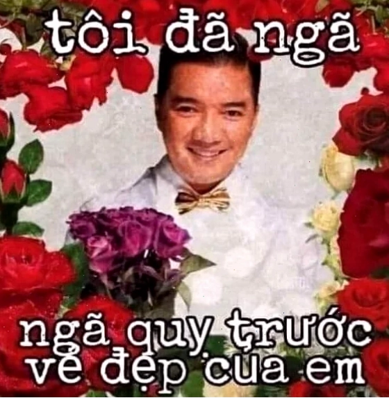 meme em đẹp lắm hình gấu trúc lầy lội