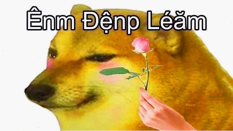 meme em đẹp lắm phiên bản vui nhộn