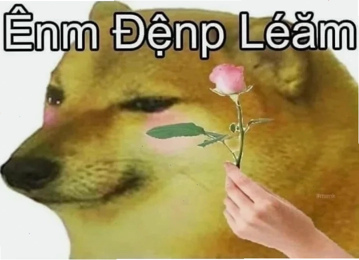 meme em đẹp lắm phong cách hoạt hình hài hước