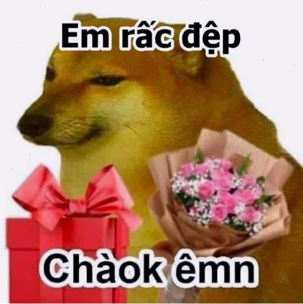 meme em đẹp lắm phong cách mèo dễ thương