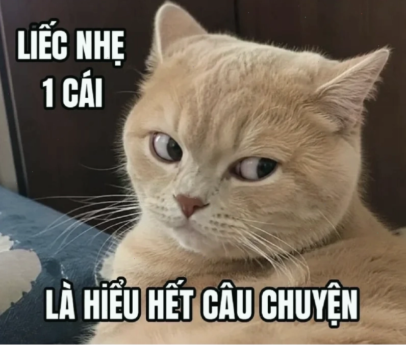 meme em đẹp lắm phong cách thả thính
