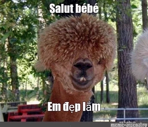 meme em rất đẹp hài hước