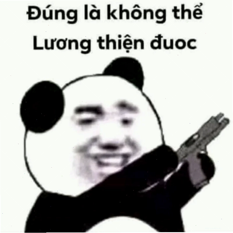 Meme gấu hài trung quốc bất lực
